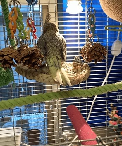 Miniatura 7 de Soporte para pájaros, perca en forma de U, material de cuerda de cáñamo, soporte de plataforma, juguetes de ejercicio para pájaros y loros,