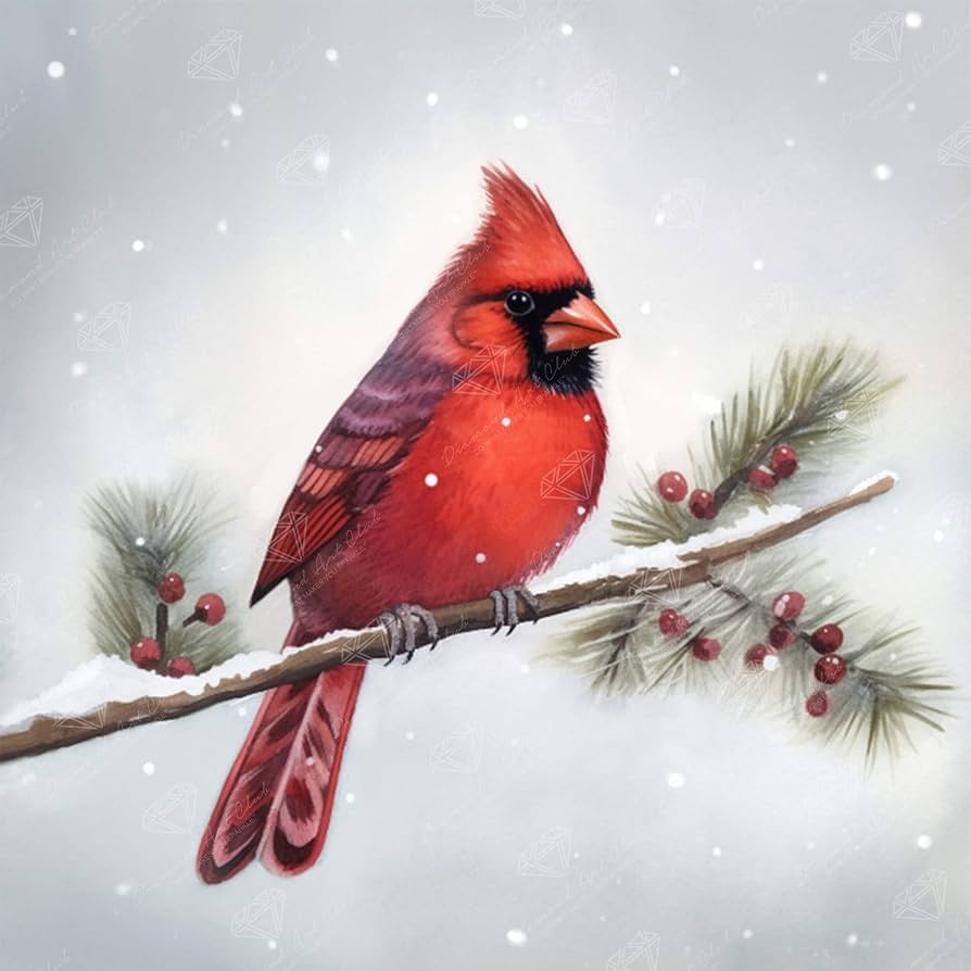 Amazon.com: DIAMOND ART CLUB Winter Cardinal Diamond
