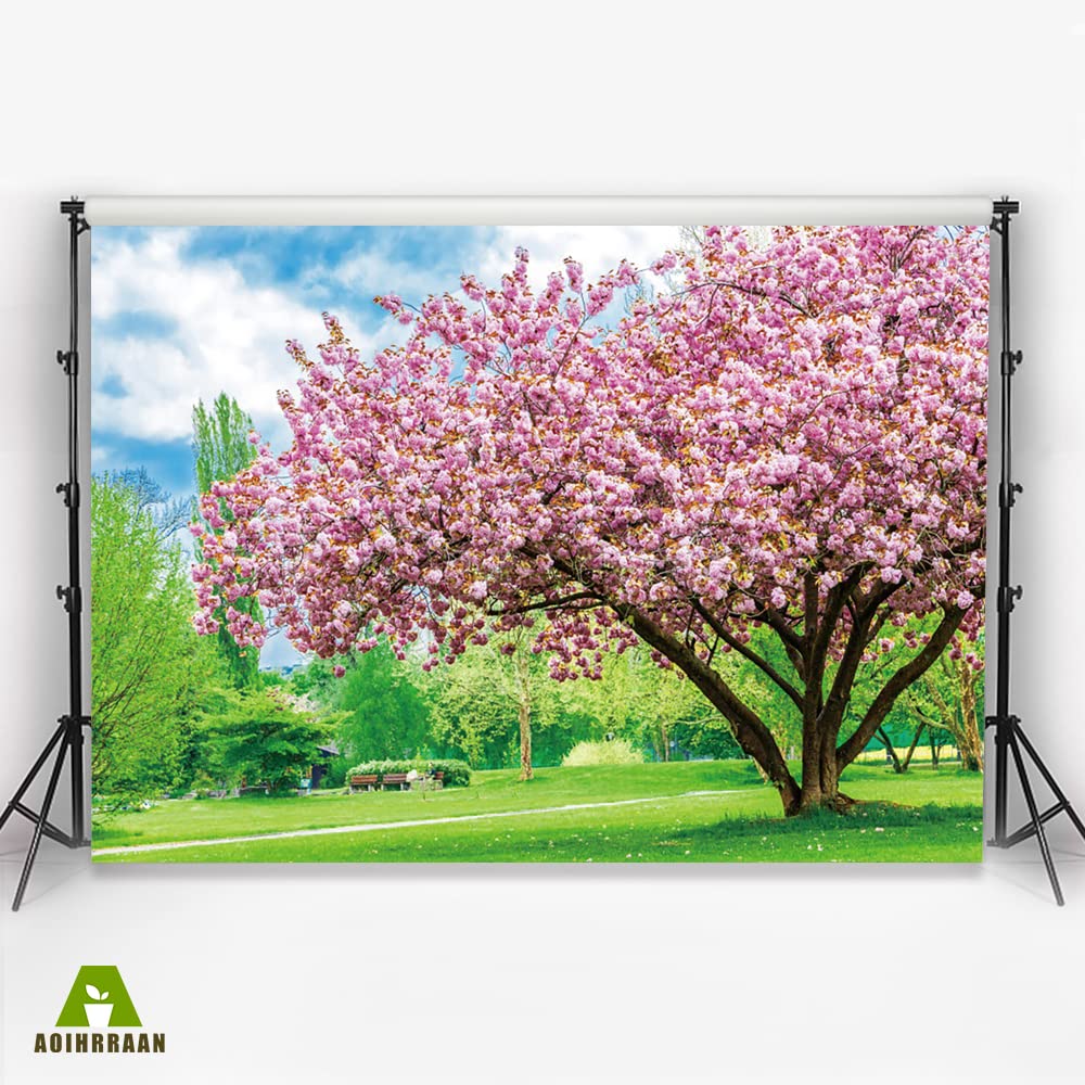 Aoihrraan 3x2m Nature Paysage Toile De Fond Printemps Cerise Fleur Arbres Pelouse Verte Gazon Ensoleillement Paysage Photographie Mariage Fête Mère Femme Dame Filles Portrait Studio Photo Vinyle