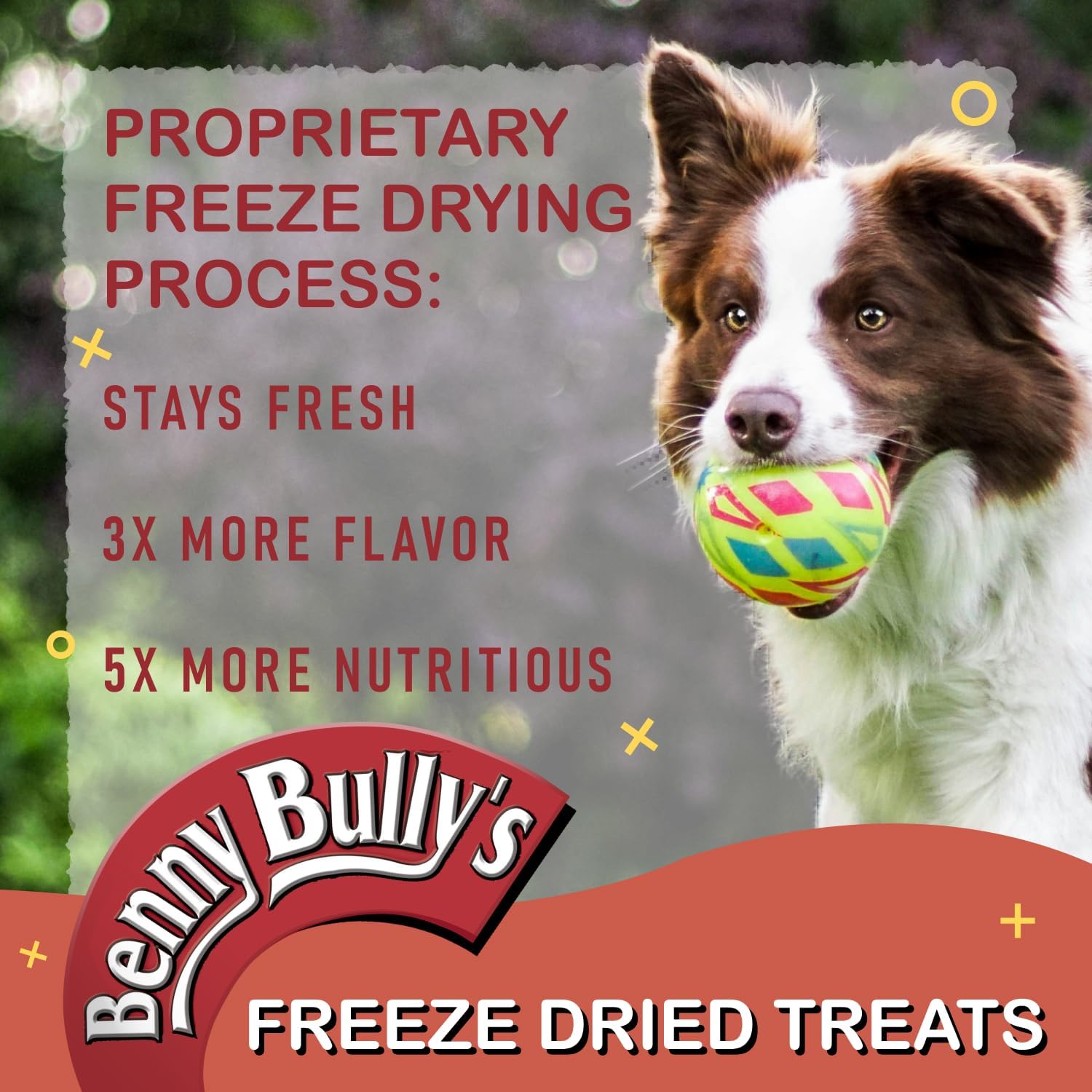 Benny Bullys Beef Liver Mini Bites - Freeze Dried Beef Liver Dog Treats, High Protein, Low Fat, Nutrient-Rich, All Natural Ingredients, Healthy Snack for Active Dogs - 148g/ 5.2oz