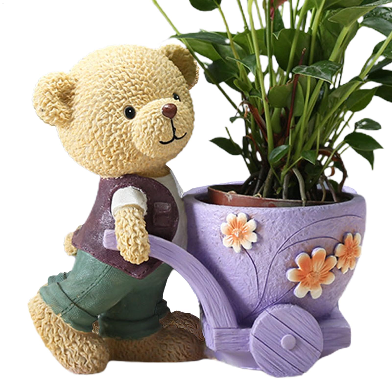 Plantes succulentes amusantes dans leur pot ours décoratif