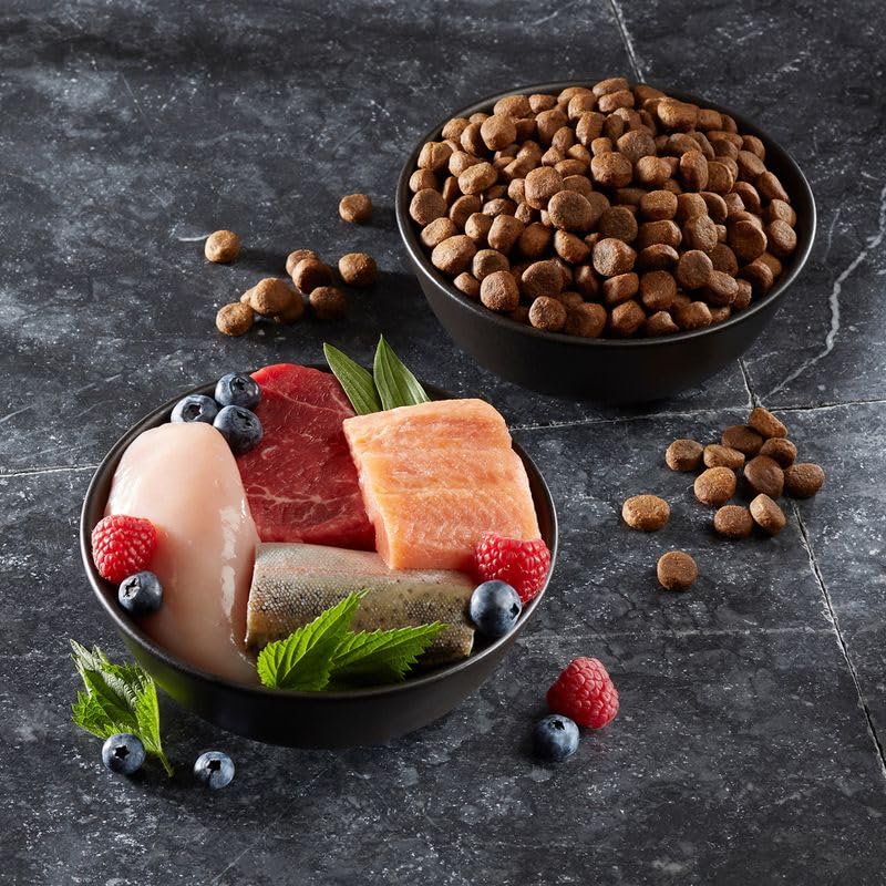 Wolf of Wilderness Adult Blue River, reich an Omega 3 Fettsäuren, enthält 61% reines Fleisch, niedriger Kohlenhydratgehalt – Lachs (2 x 12 kg)