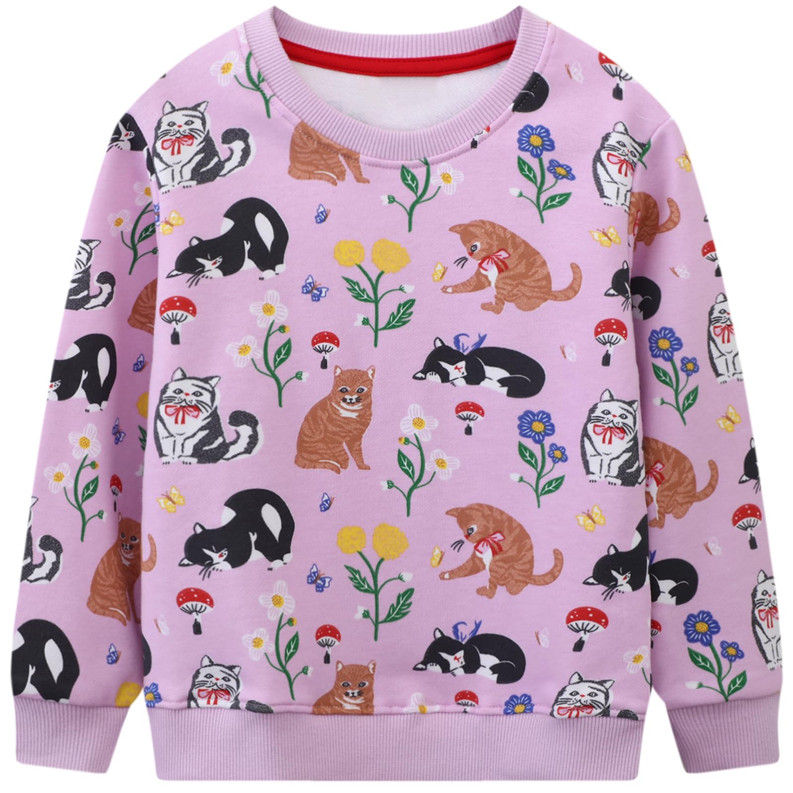 Hongshilian Unisex Kids Cute Cartoon Cotton Sweater Shirt