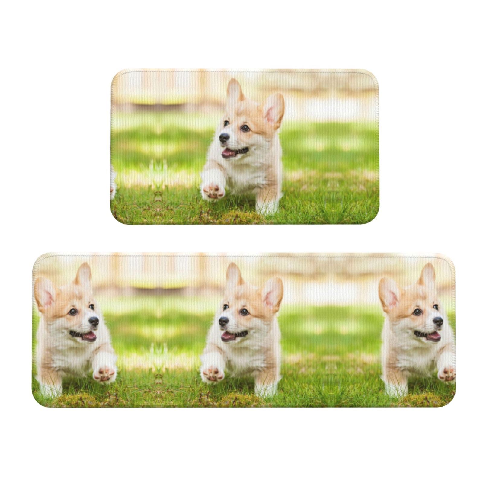 Tapetes de cocina antideslizantes EdWal Corgi impermeables de gran durabilidad para el hogar
