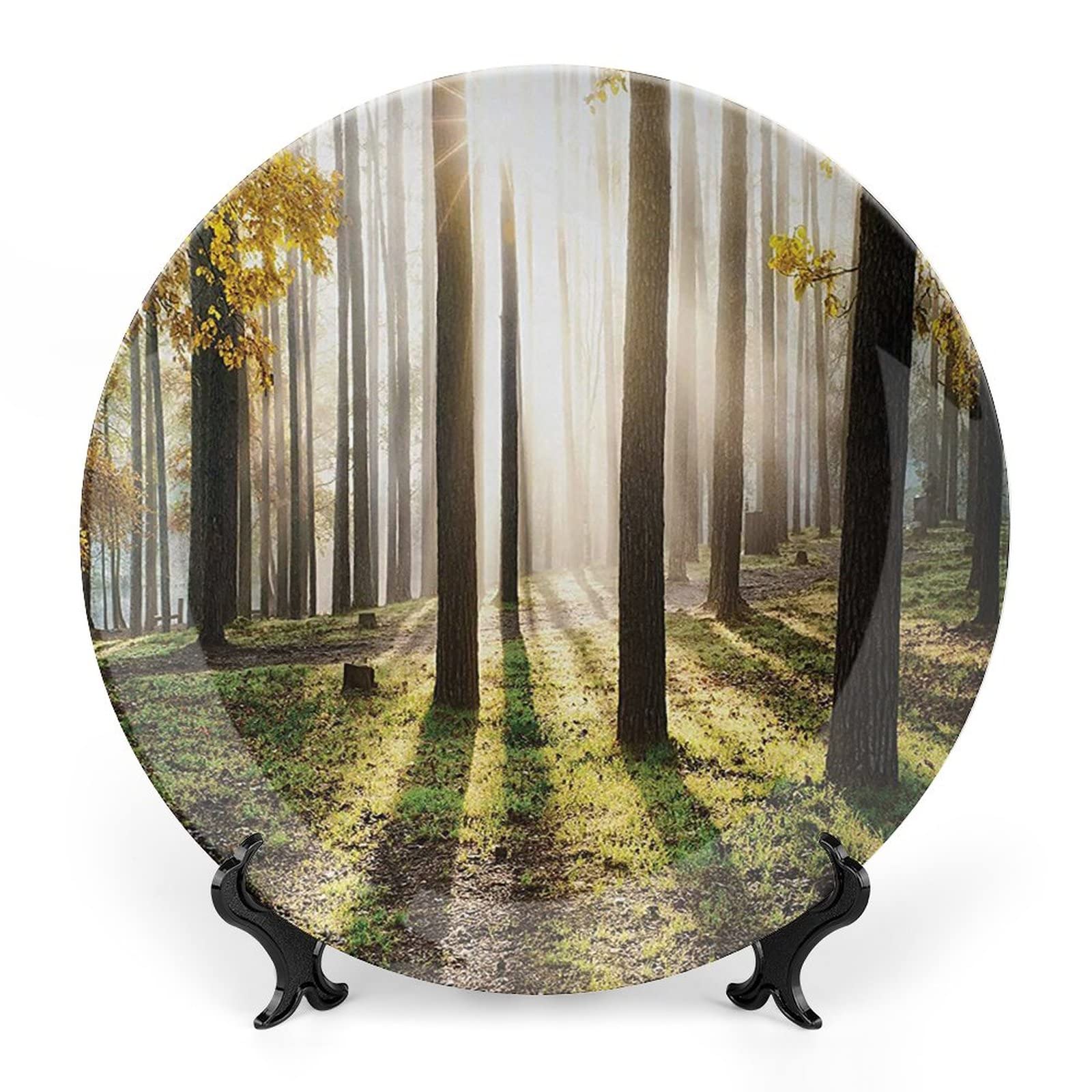 XISUNYA 8 Inch Decorative Plate, Forest Tableware Plate, Landscape Sunrise in Forest Leaves Seasonal Woodland Print Ceramic Wall Hanging for Home