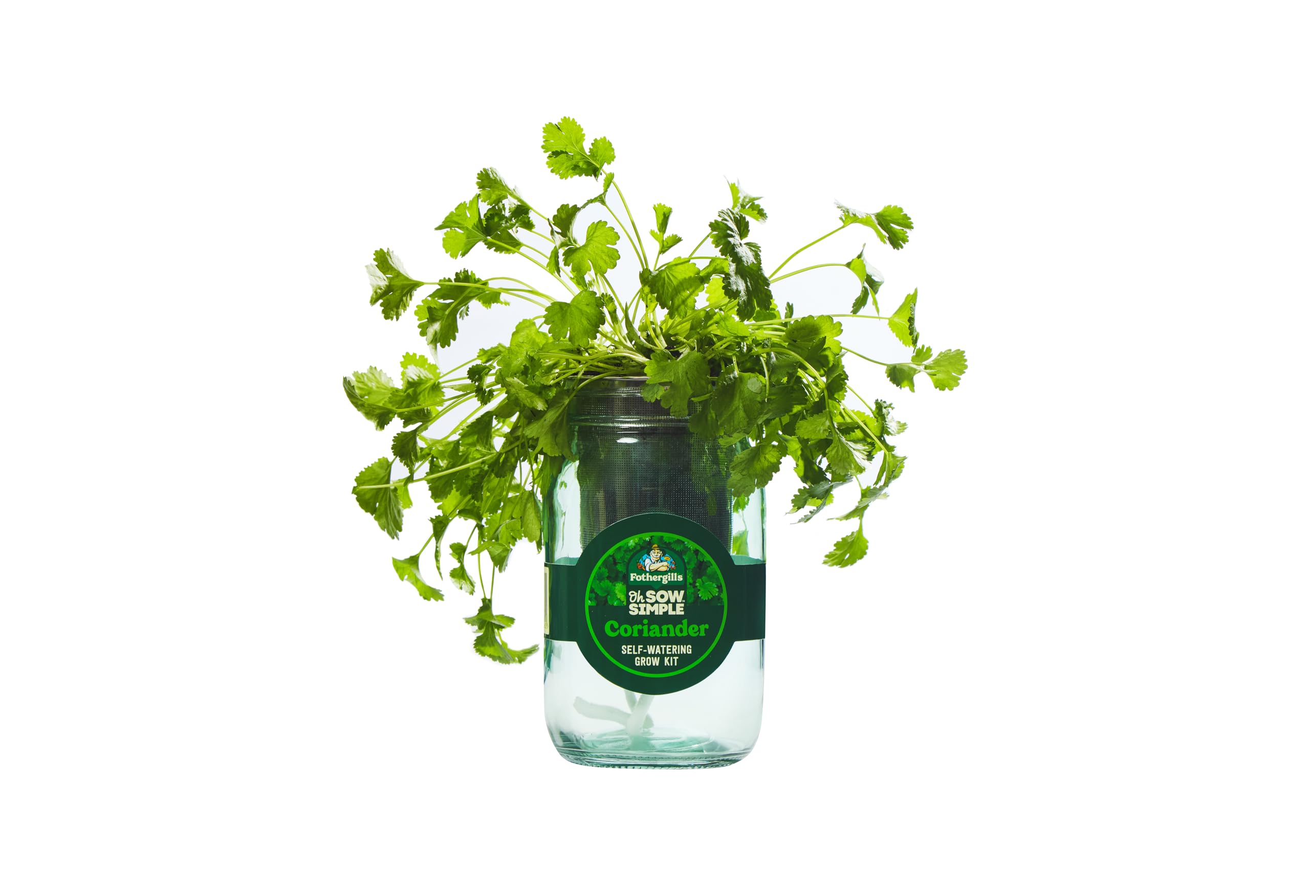 Mr Fothergill’s Coriander Self-Watering Mason Jar Grow Kit