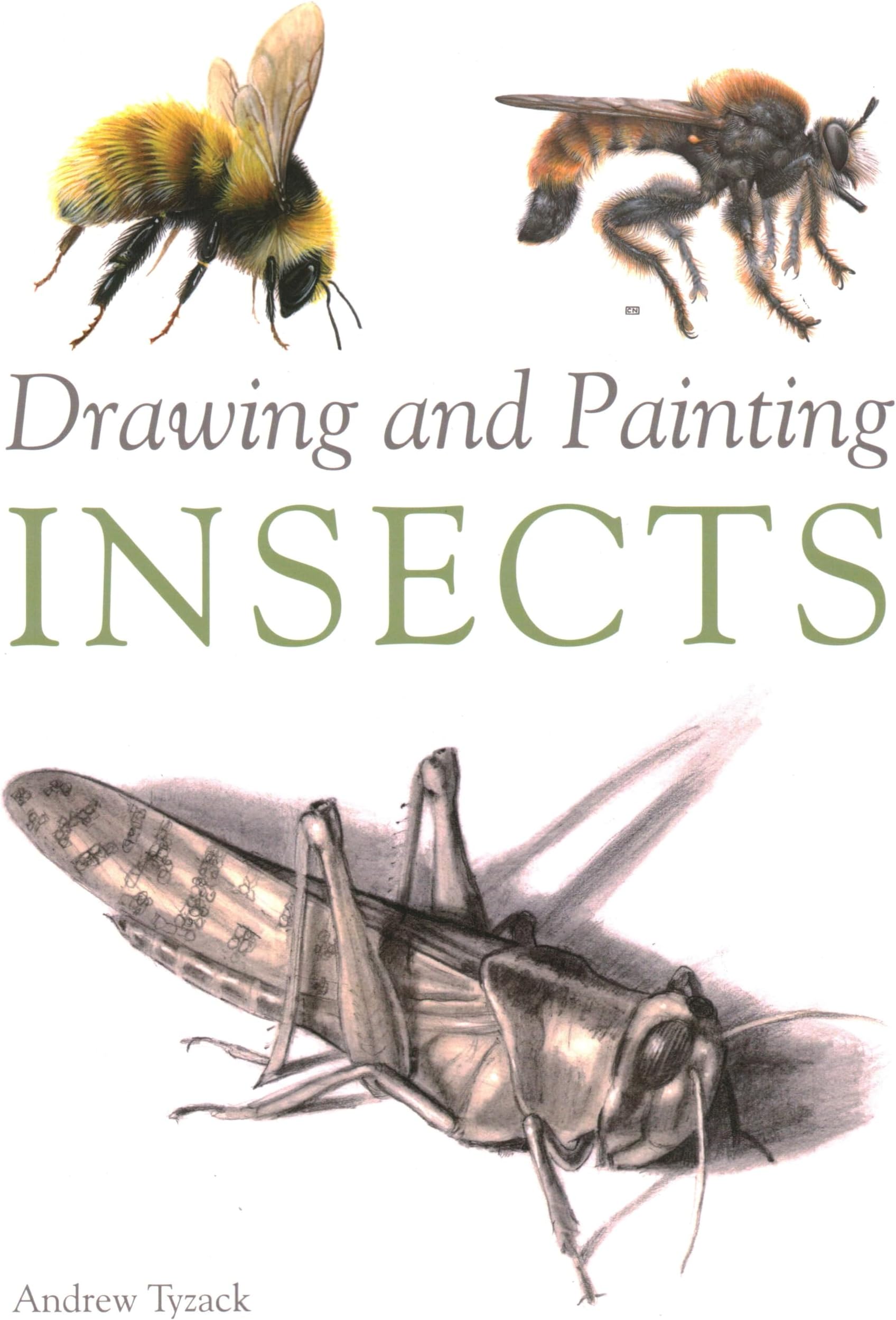 Drawing and Painting Insects Paperback โ February 4, 2014