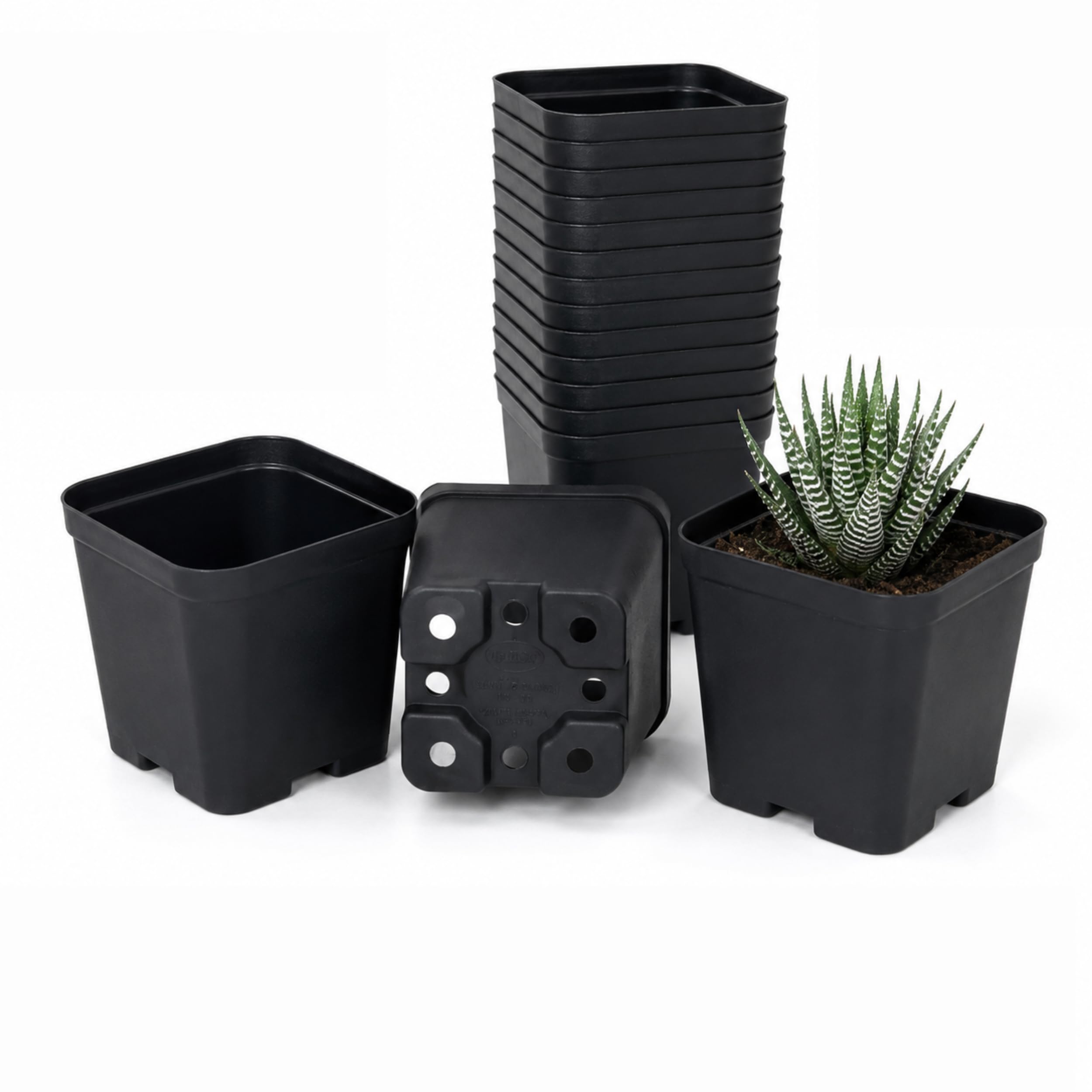 3 Inch Square Black Plastic Nursery Pots with Drainage Holes, for Plants and Seedlings, 8x8x8 cm (3inch x 3 inch)-image-34