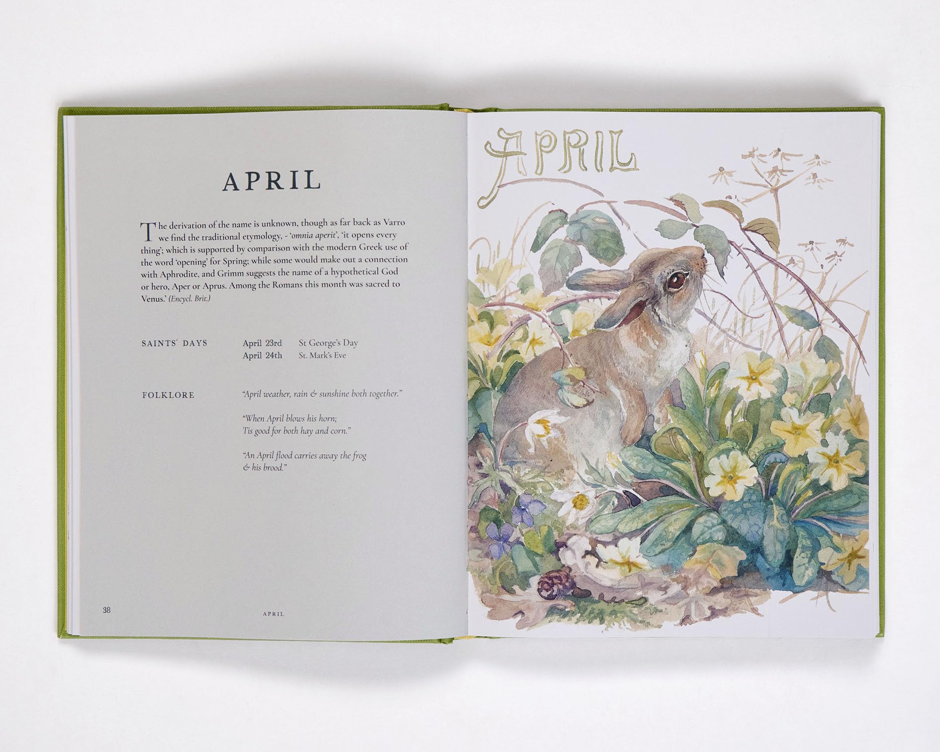 Nature Notes of an Edwardian Lady