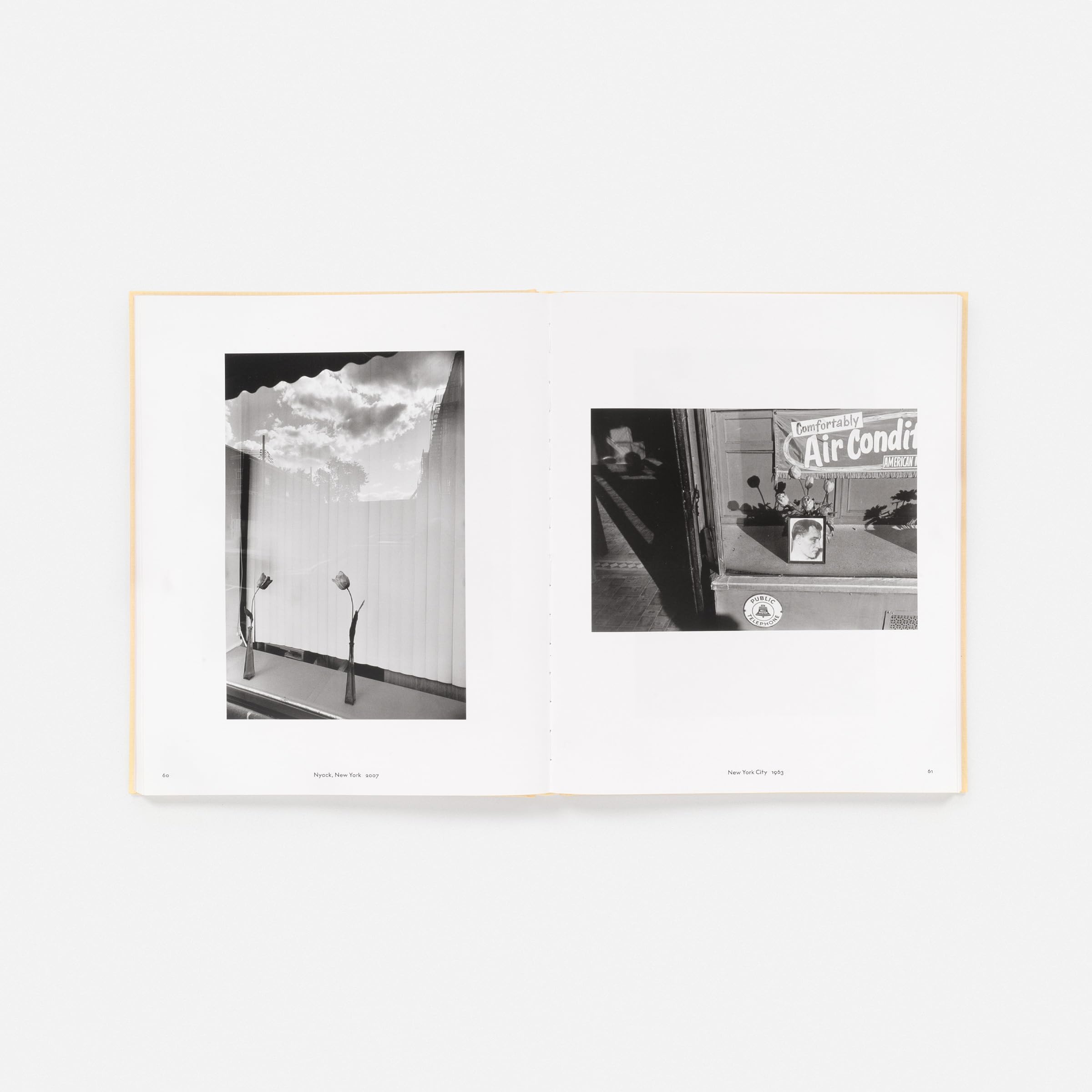 Lee Friedlander Life Still
