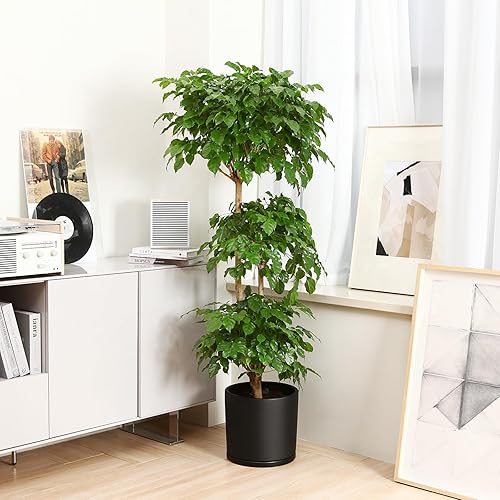 Miniatura 6 de Kazeila Maceta de cerámica de 12 pulgadas, platillo y orificio de drenaje, totalmente esmaltada, color negro mate