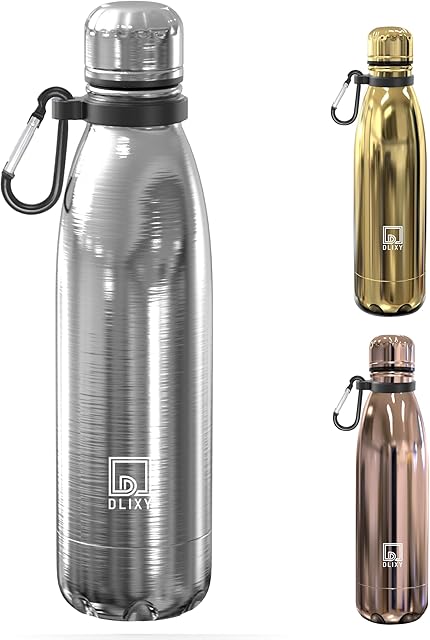 DLIXY 500mL Stainless Steel Water Bottle - Metal Water Bottle - 500ml Water Bottle - Hydro Flask - Insulated Water Bottle - Thermos Bottle - Reusable Water Bottle - Travel Water Flask Bottle - Silver
