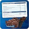 All Stars WHEY PROTEIN 2000g I Eiweiß-Pulver mit Whey-Konzentrat & Isolat I leckeres Low-Fat Powder I hochwertiges Protein-Pulver I cremiger Protein-Shake mit Chocolate Flavour