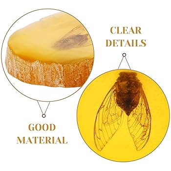Amazon | 琥珀 昆虫、 天然 蝉 標本 ペンダント 琥珀 石 装飾品