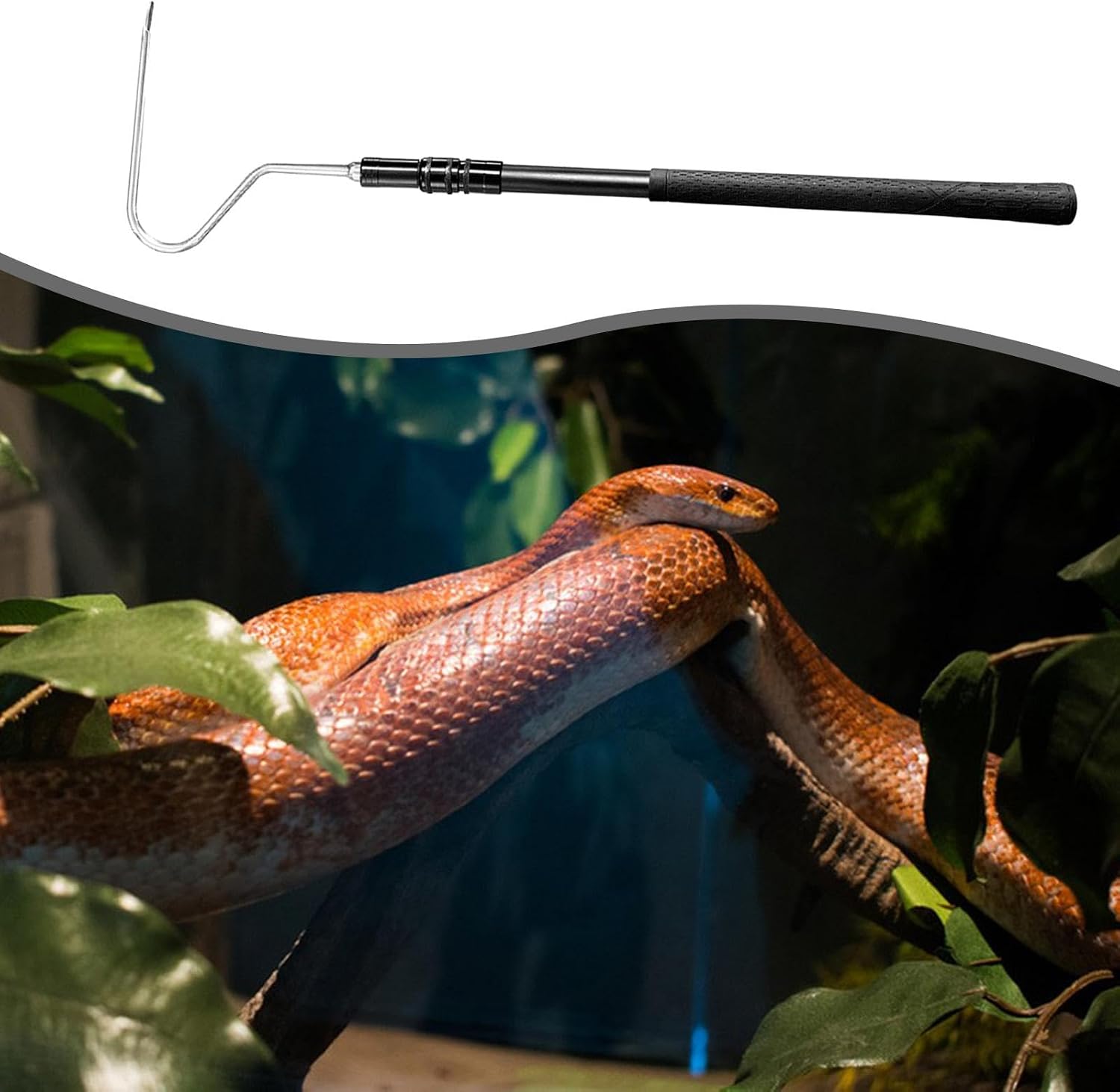Gralara Snake Hook Catcher Pole Metal Beginner Comfortable Grip Handle Snake Grabber Tool Handling Tool for Rattlesnakes