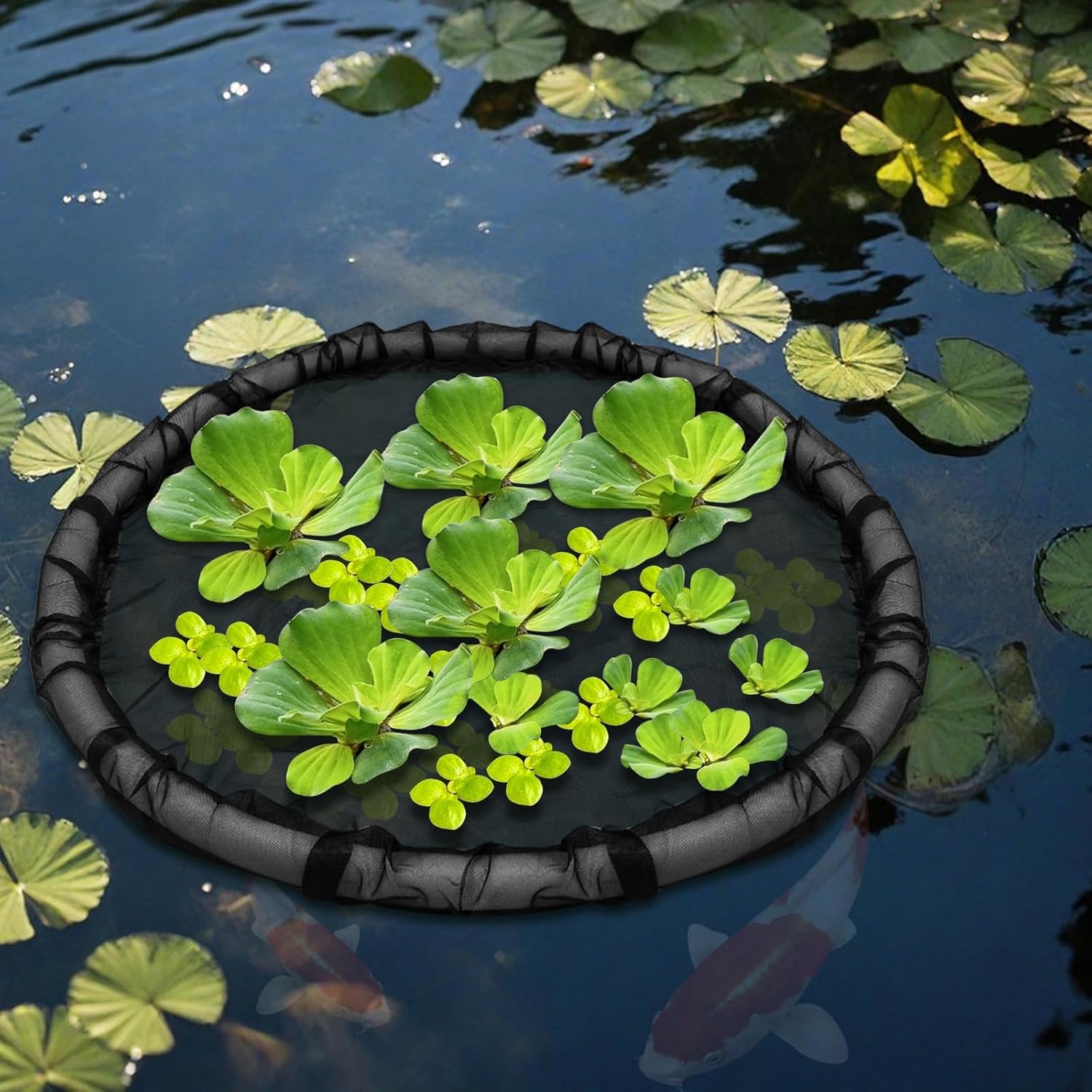2Pack Round Floating Flora Fish Barrier Floating Island Plant Protector Floating Flora Island for Pond Protects Your Floating Plants from Pond Fish