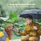 Ver la foto 6
