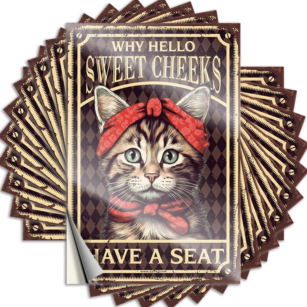 Smiley Face Stickers, Birthday Door Cat Girl Why Hello Sweet Cheeks Have A Seat | Funny Quote Things Decals(8X12CM)