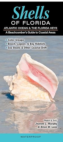 Shells of Florida-Atlantic Ocean & Florida Keys: A Beachcomber’s Guide