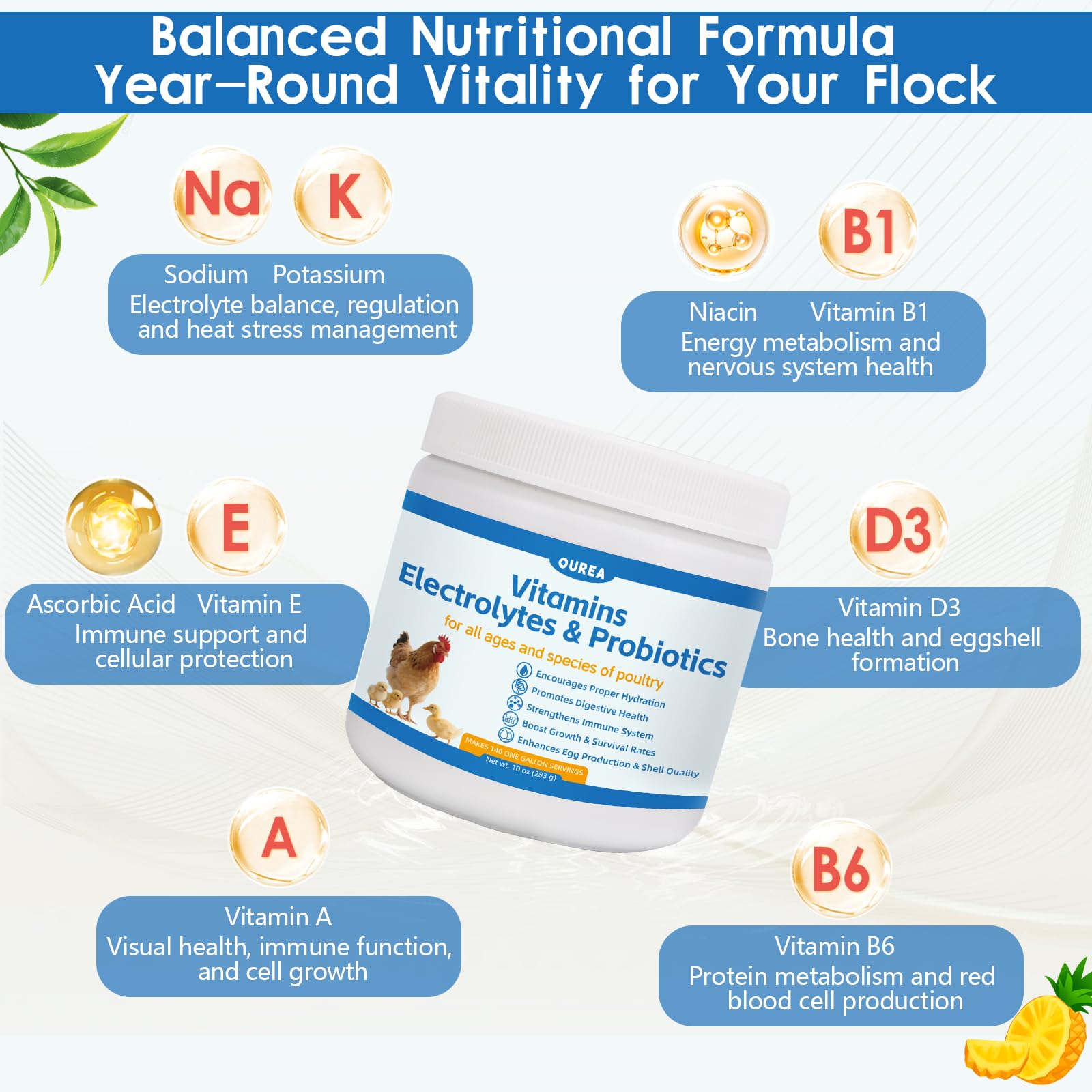 Chicken Vitamin, Electrolyte & Probiotic Powder for Hydration, Digestion, Immunity & Egg Production - Poultry Supplement for Chickens, Ducks & All Ages of Birds - All-Season Formula, 10 oz