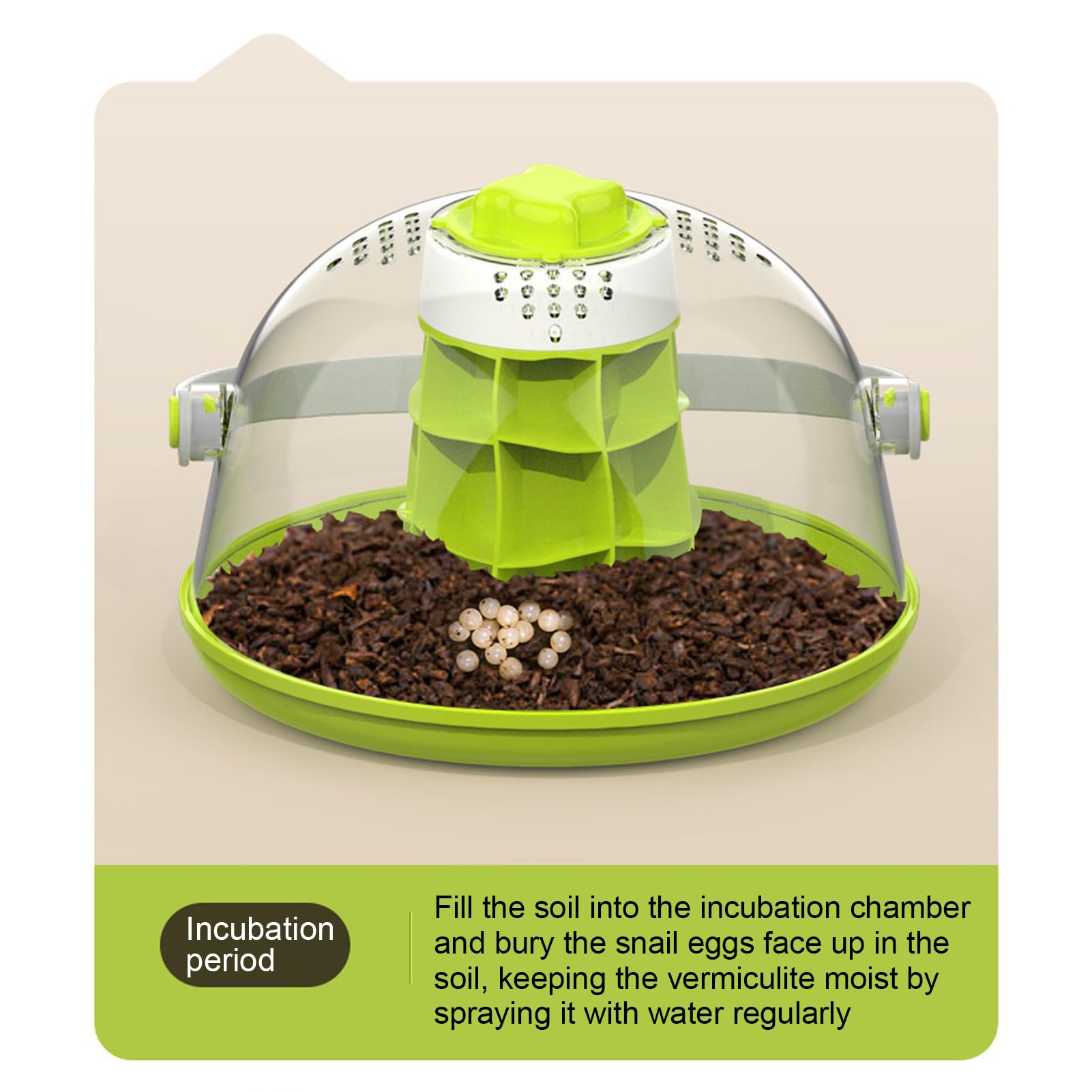 Boîte d'Observation d'Escargots Transparente, Matériel Pédagogique Scientifique pour Enfants, Conception Innovante, Cadeau Éducatif