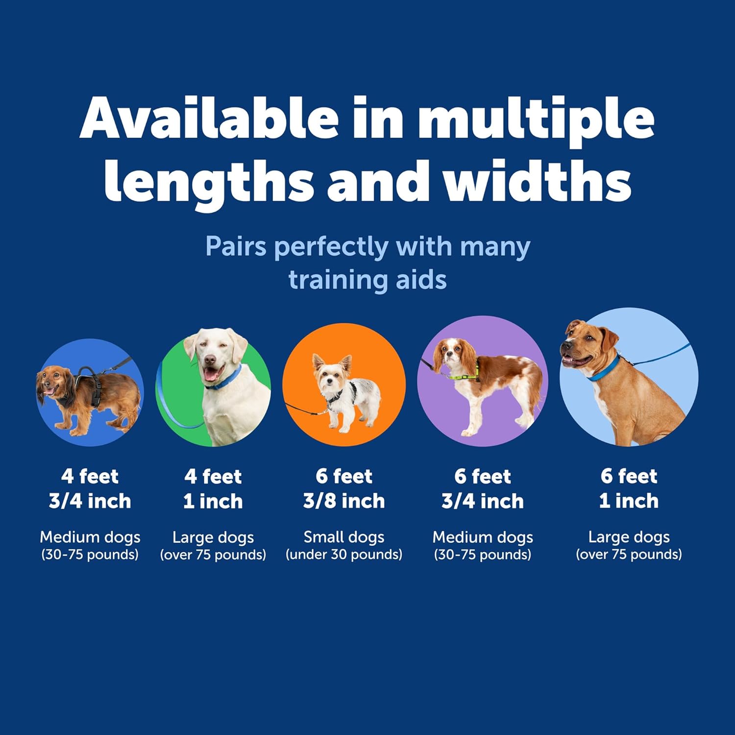 PetSafe Nylon Dog Leash - Strong, Durable, Traditional Style Leash with Easy to Use Bolt Snap - 3/4 in. x 4 ft., Royal Blue image 5