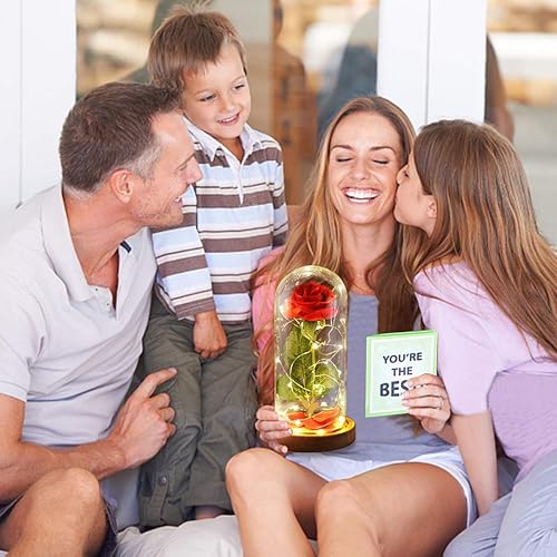 Miniatura 20 de Rosa de la Bella y la Bestia, regalos de rosas para mujeres, regalos para ella, regalos de cumpleaños para mujeres, rosa eterna artificial iluminada