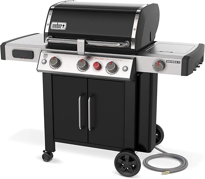 Weber Genesis II EX-335