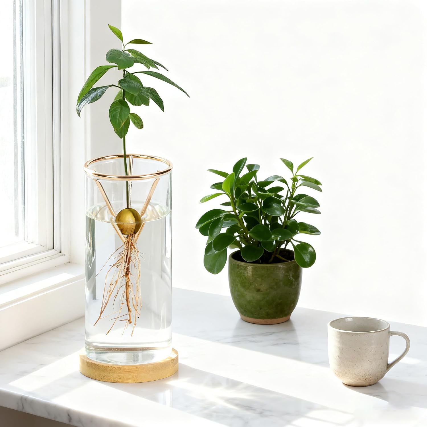 Bylion 2 Pack Avocado Tree Growing Kits - Avocado Growing Vase - Avocado Seed Starter Vase Glass Plant Pot Easy Seed Sprout Starter Gift for Women Gardening Lovers Home Office Table Decoration (Gold)
