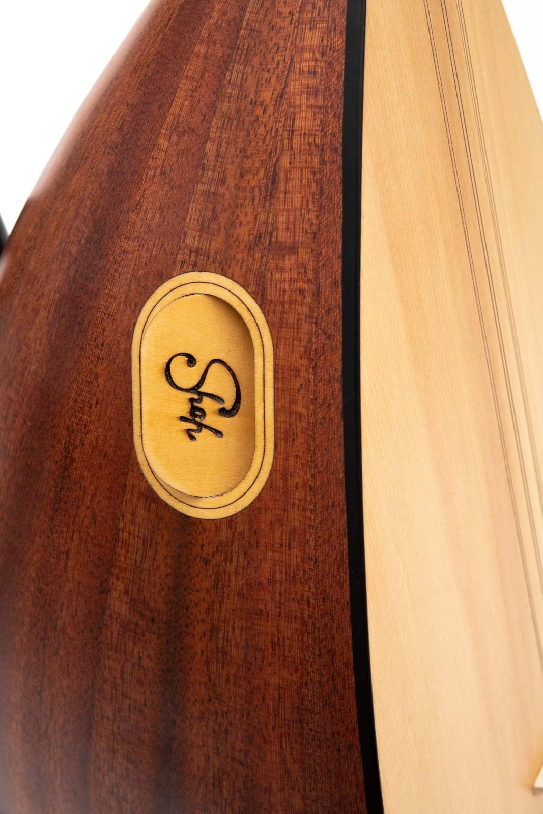 Türkischer Saz mit langem Hals aus Mahagoniholz mit Palisander-Heringen und integriertem Tonabnehmer mit weichem Etui, Saitensatz und Plektren im Lieferumfang enthalten