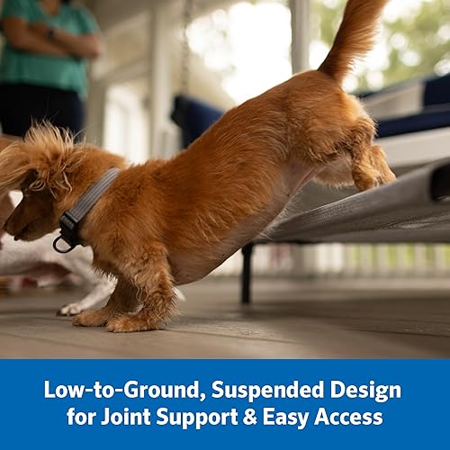 Miniatura 3 de Coolaroo Cama elevada para perros Pro con tela HeatShield, cuna elevada de enfriamiento avanzado para razas medianas y grandes, fácil de limpiar,