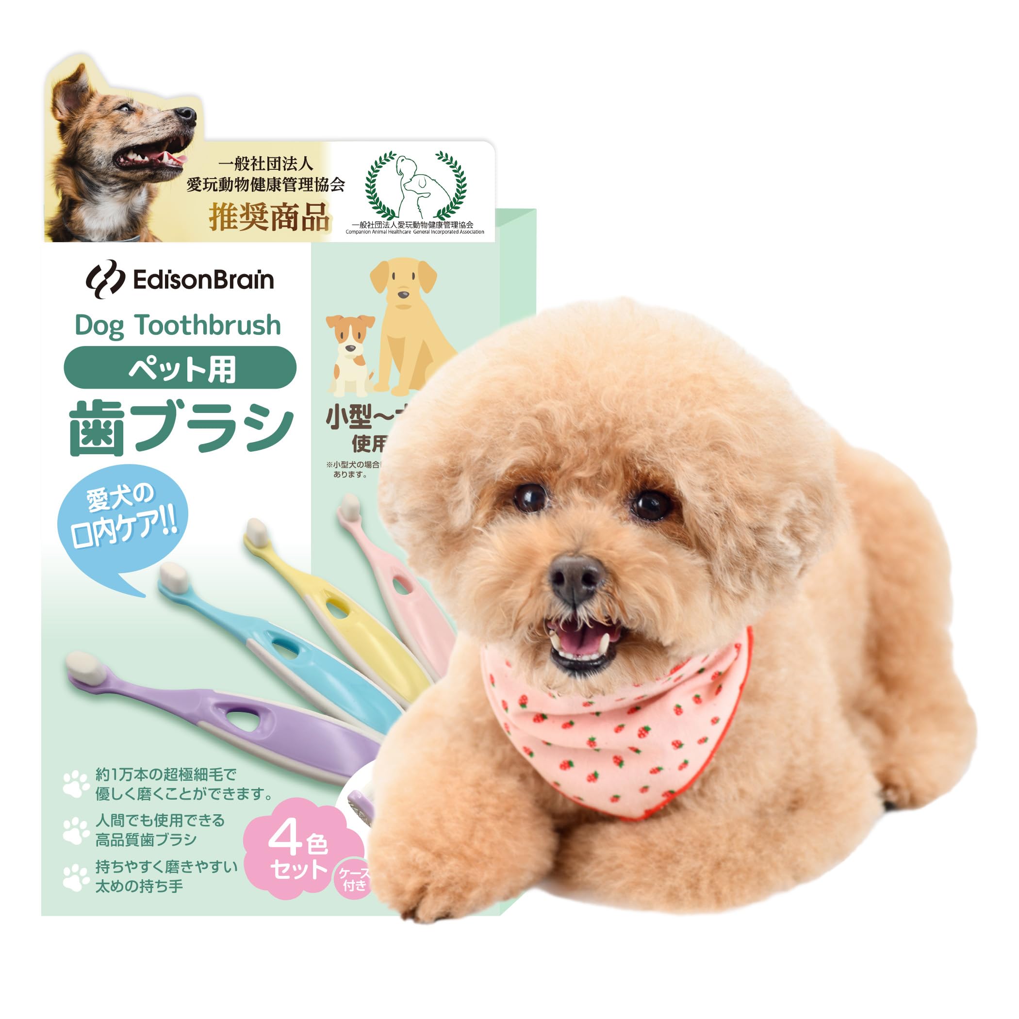 ソノティクス3箱　極細毛ペット用ナノ歯ブラシ口腔ケア2箱8本入　愛犬オーラルケア Amazon.co.jp: 【愛玩動物健康管理協会監修】 極細毛ペット用ナノ
