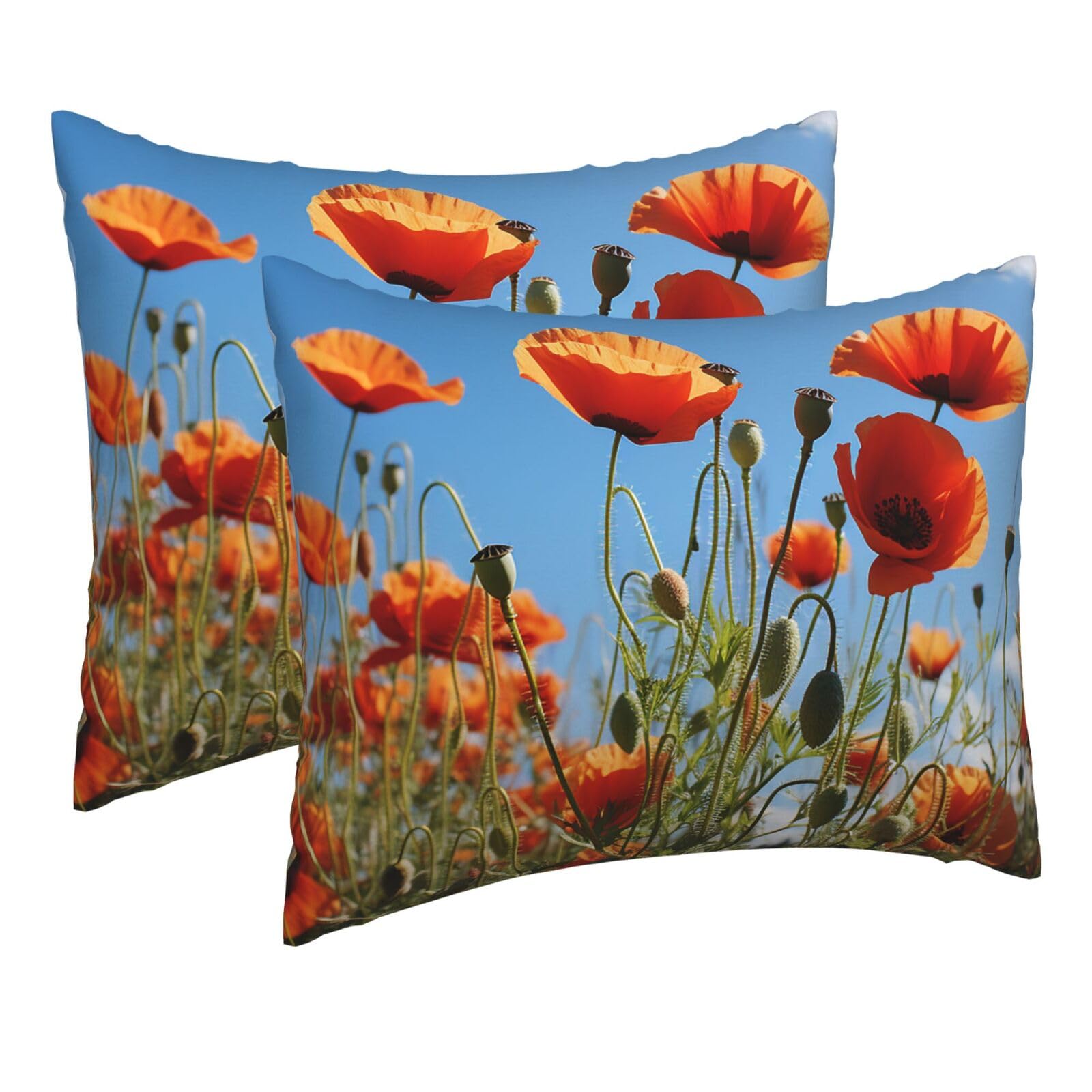 2 Pack Pillow Cases with Hidden Zipper, Soft Breathable Pillow Covers for Hair and Skin, Poppies on Blue Sky Pillowcases 16"x20" Bed Pillow Protectors Cover for Sleeping Gifts