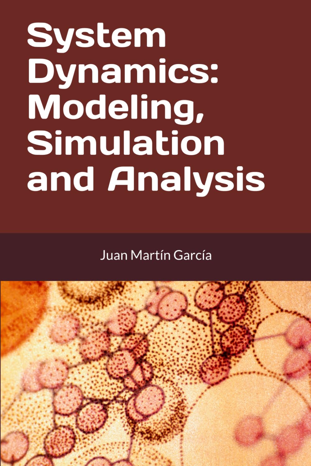 System Dynamics: Modeling, Simulation and Analysis: Practical guide with examples for the design of industrial, economic, biological, engineering and environmental models.: 2020 (Business Dynamics)