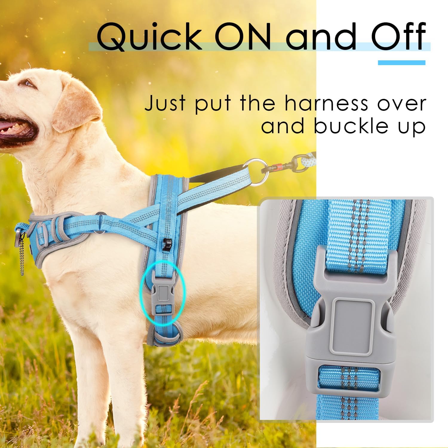 ADVENTUREMORE Small Dog No Pull Harness with QR Code Dog Tag, Adjustable Reflective Vest, Front Clip Handle for Training Walking XXL Light Blue