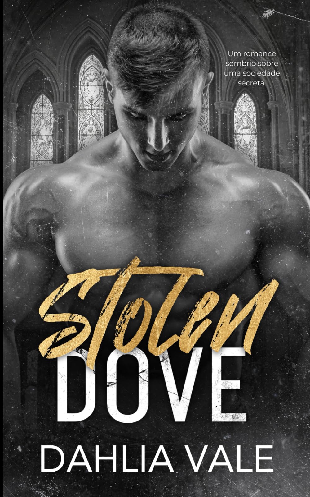 Stolen Dove: Um Romance de Uma Sociedade Secreta e Sombria (Os Bilionários Sombrios)