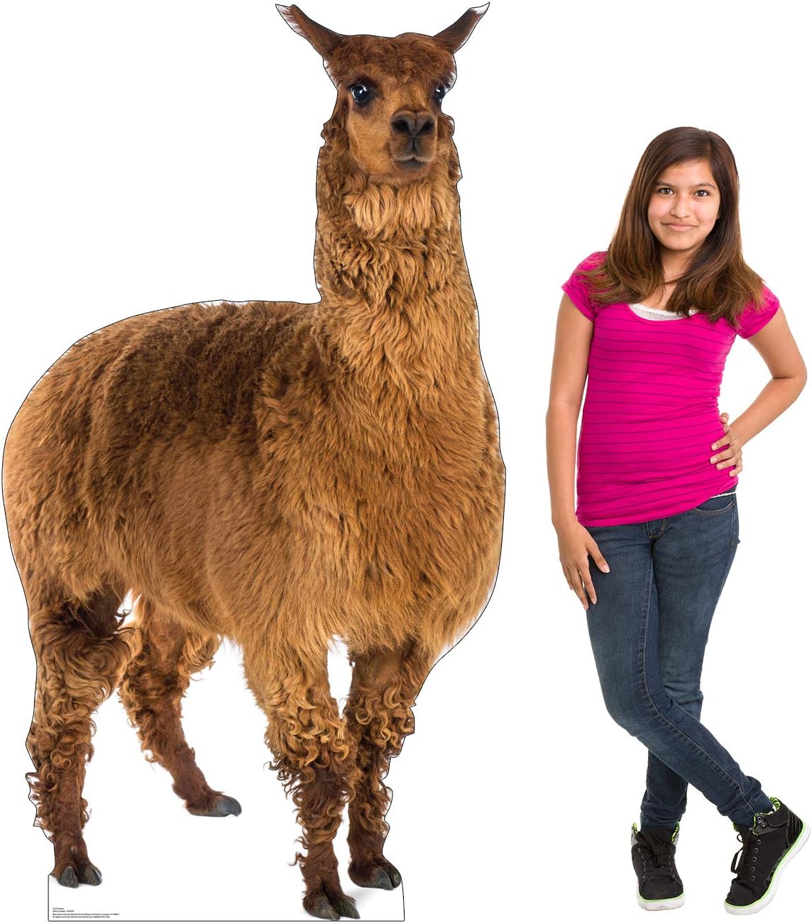 Cardboard People Llama Life Size Cardboard Cutout Standup