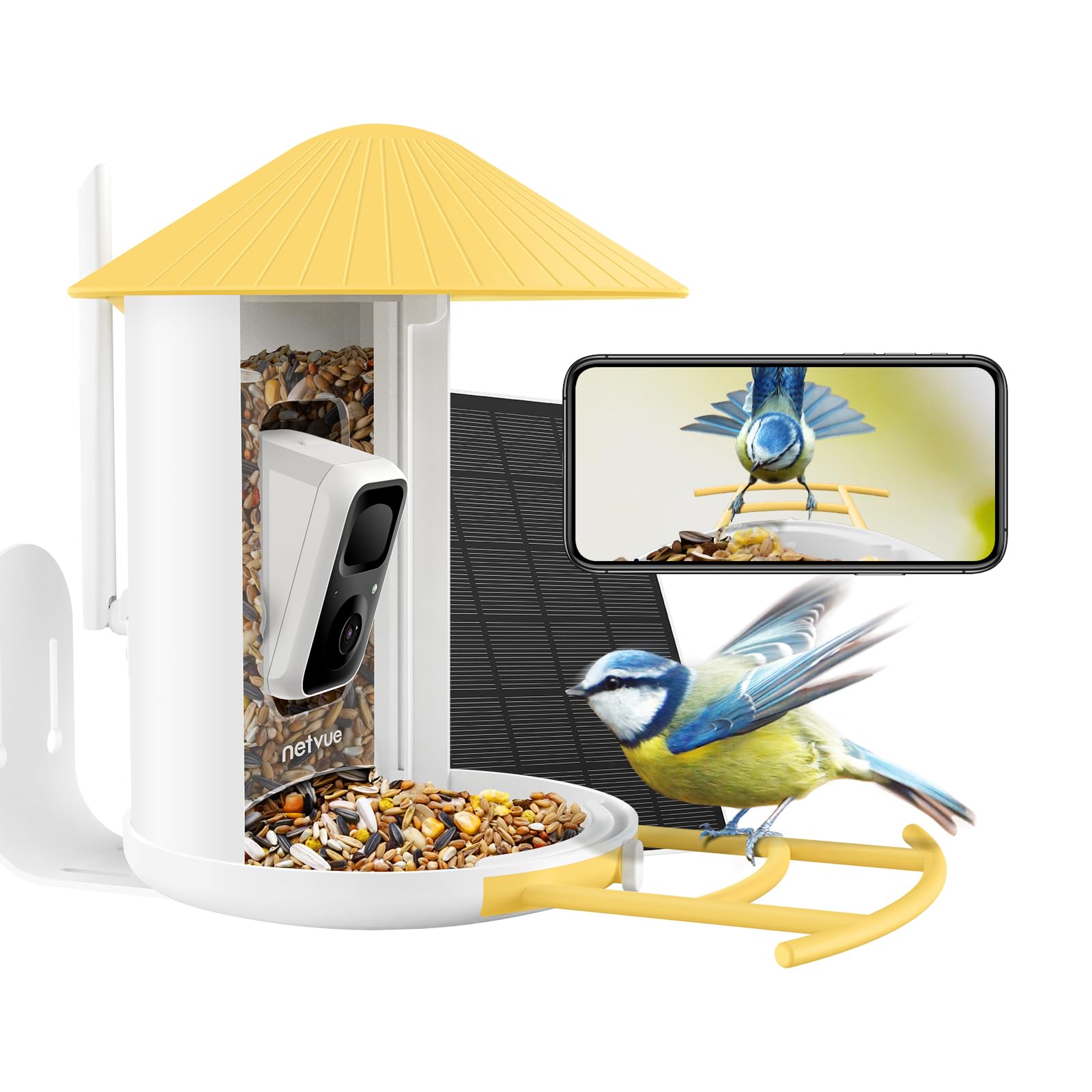 Netvue Comedero Pájaros con Cámara, Observación de Aves Cámara con Batería & Panel Solar, Captura Automática & Grabación de Video de Pájaros, App de Notificación de Aves, Comedero Pajaros Exterior