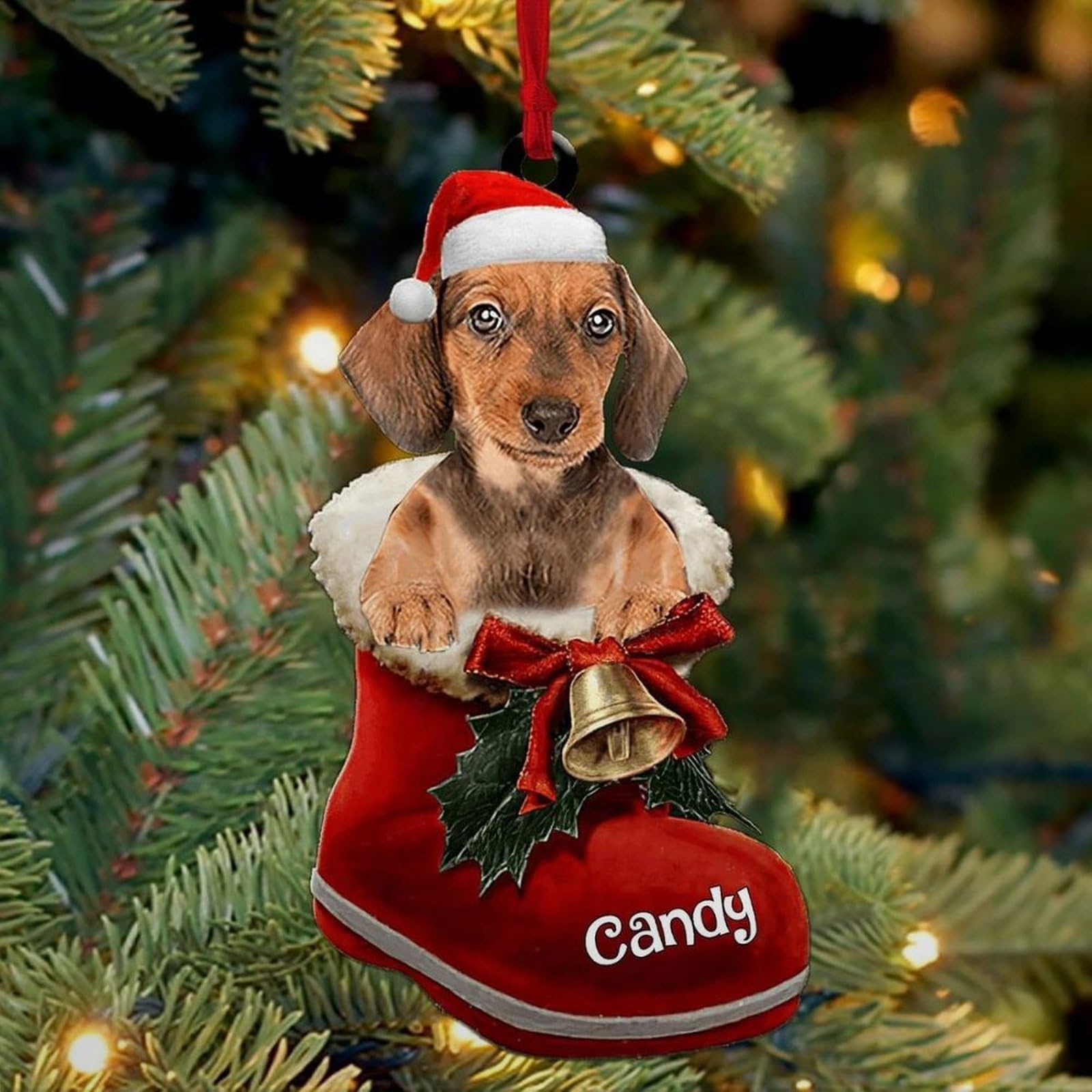 Luckluccy Dachshund (1) Ornament,Custom Dog Christmas Ornament,Dog In Santa Boot, Acrylic