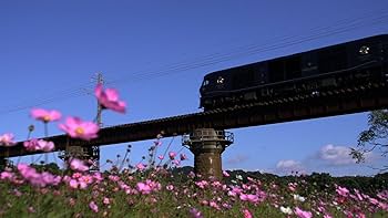 (未使用･未開封品)　誰も知らない ななつ星~密着500日「奇跡の旅」の物語~ JR九州公式ブルーレイ+DVDセット [Blu-ray] v1yptgt 誰も知らない ななつ星〜密着500日「奇跡の旅」の物語〜 JR九州