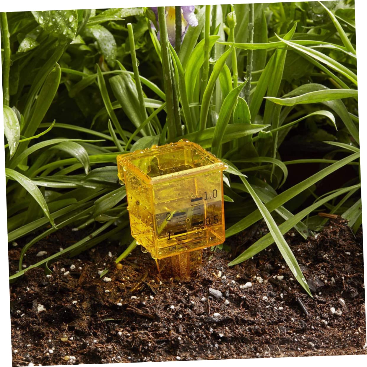SUPVOX 5 Set Di Misurazione Accurata Della Pioggia Pluviometro Per Esterni Irrigatore in Plastica Per Giardino Cortile E Prato 4 Pezzi * 5