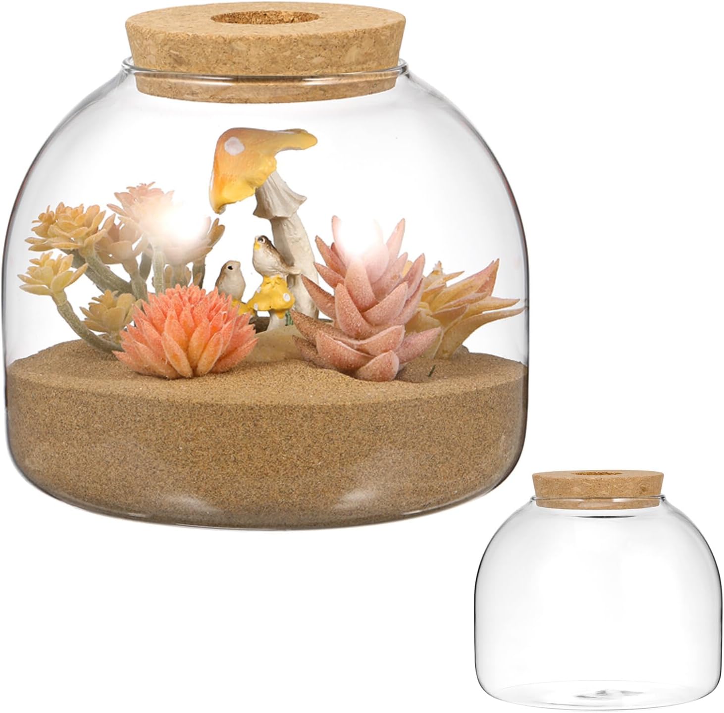 Kisangel Glass Terrarium Jar with Cork Lid, 5.9x5.3 in for Home Decor | Hydroponic Plant Tank & Moss Terrarium, Desktop Air Plant Propagation Vase for Home Office Decor, Clear Glass, 1 Pack