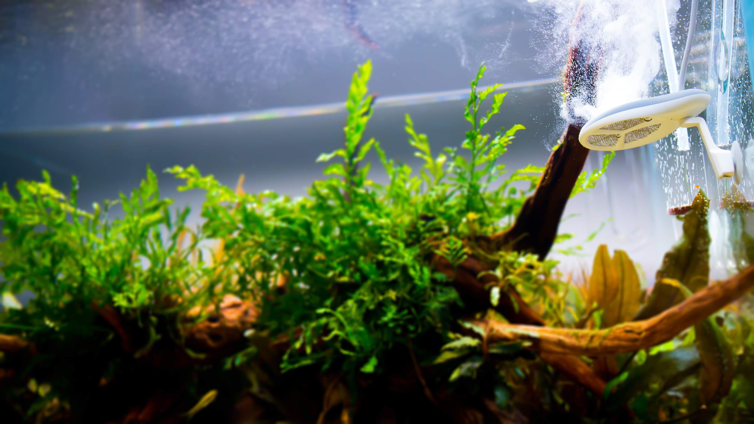 TWINSTAR 2 Nano+ Sterilisator für 50-430 Liter Aquarien