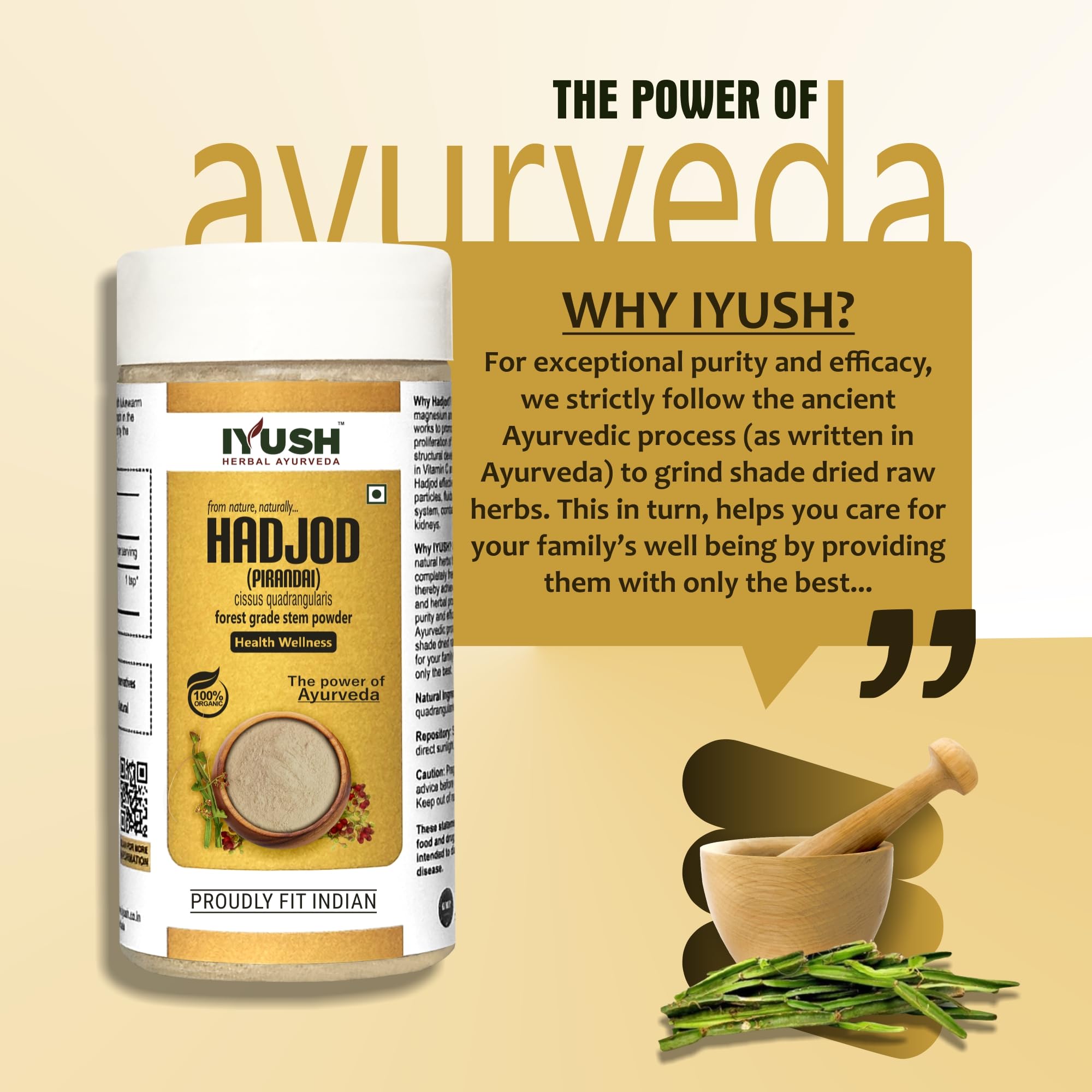 IYUSH Herbal Ayurveda Hadjod Powder β 250gm | Pirandai Powder | Cissus Quadrangularis Powder | Bone Strength Supplement | 3