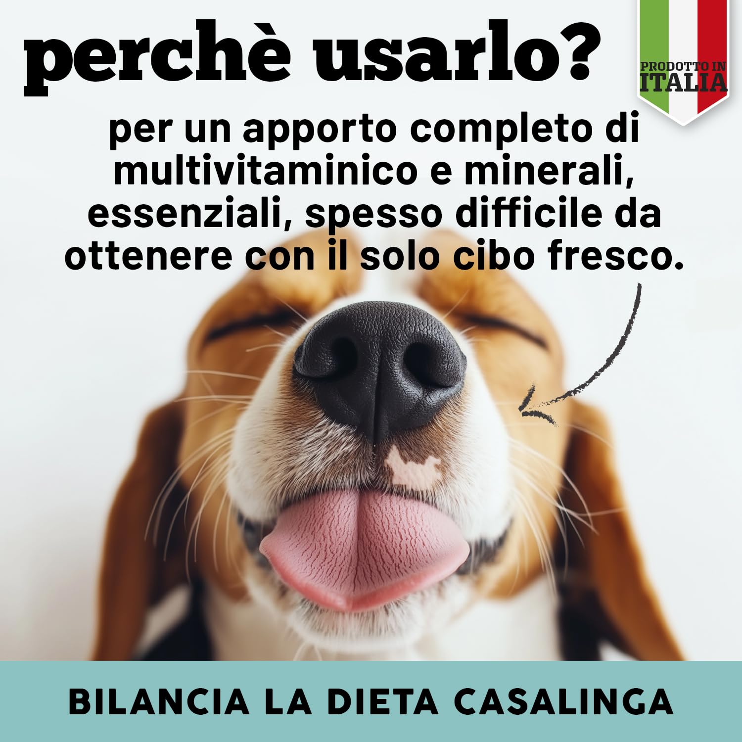 MyPetPrime | Integratore in Polvere | 12 Vitamine + 10 minerali Con Alga Spirulina | per la dieta Casalinga e Barf integra | 220g
