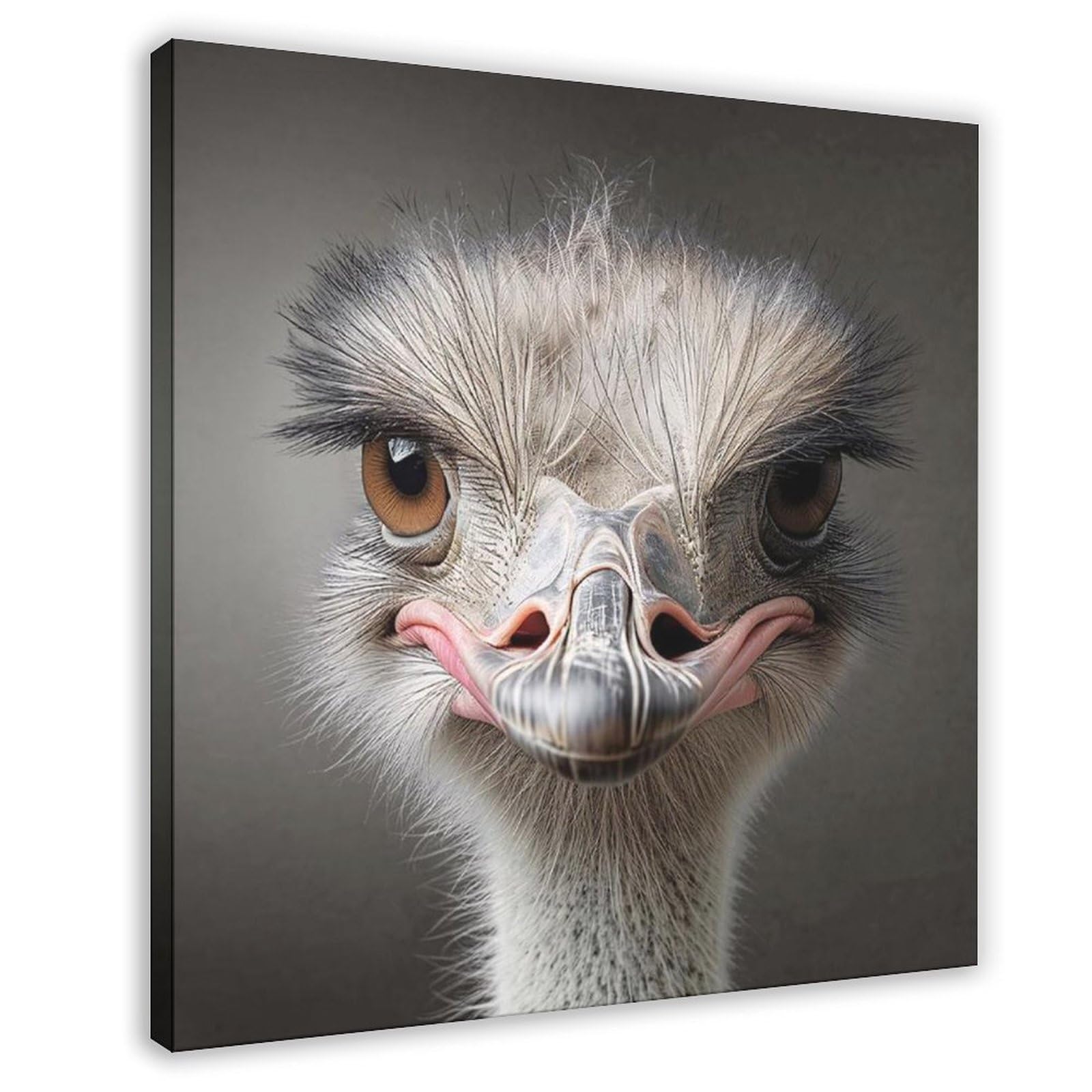 Funny Ostrich Art Poster Canvas Poster Bedroom Decor Landscape Office Room Decor Gift 20x20inch(50x50cm)