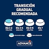 Ver la foto 6