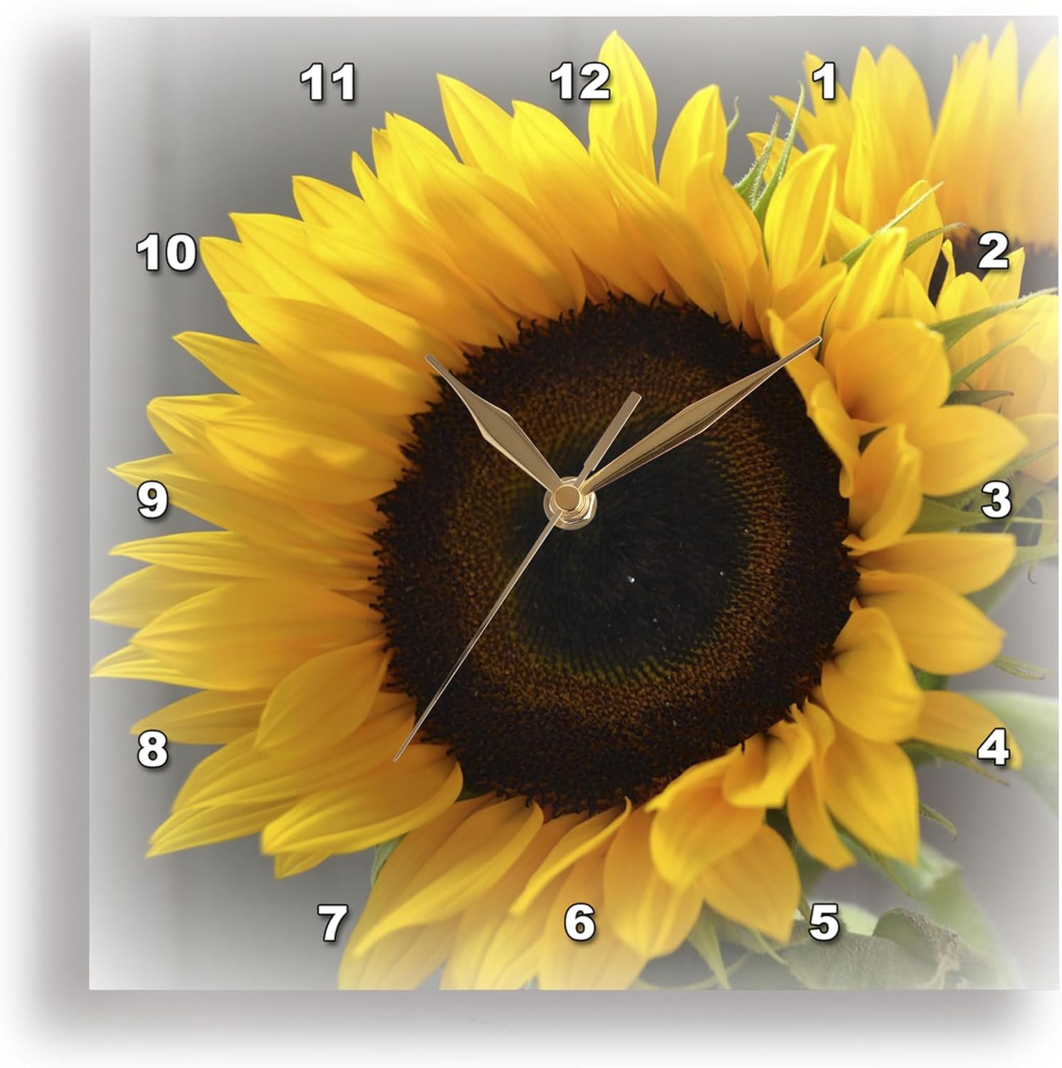 3dRose dpp_37531_3 Yellow Sunflower Delight-Autumn Flowers-Photography Wall Clock, 15 by 15-Inch