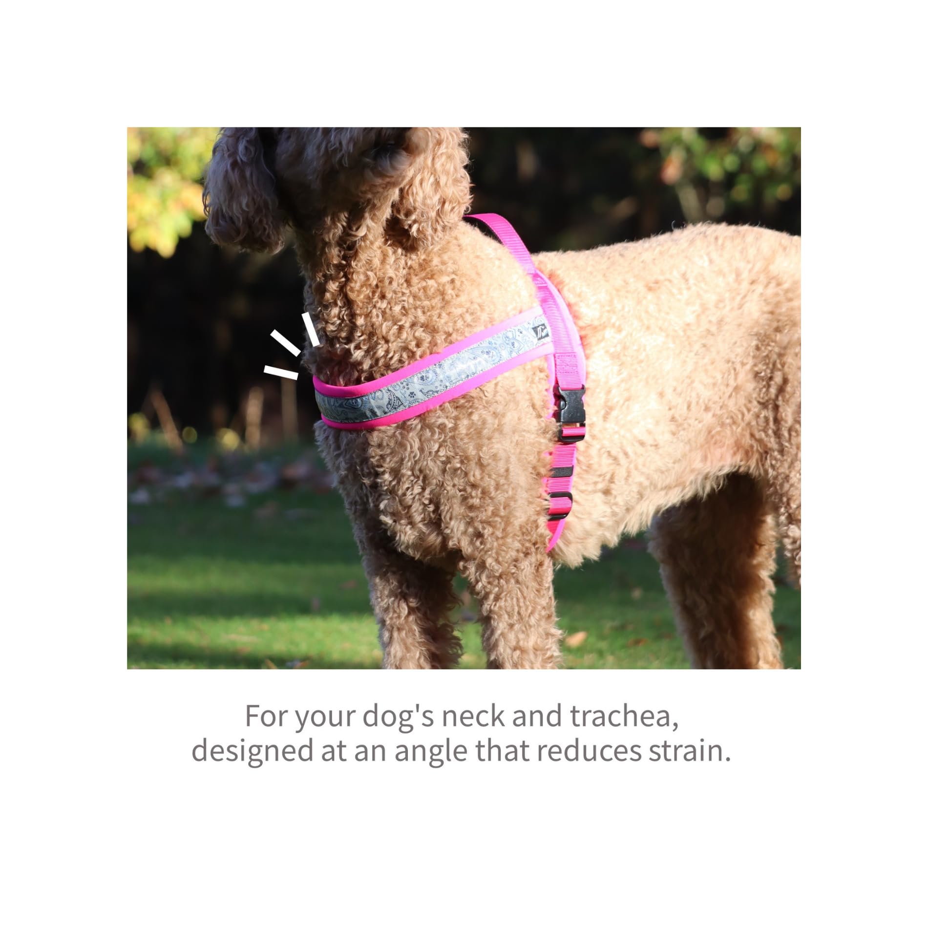 Hakusan - Pettorina per cani con drago, realizzata a mano, sicura, senza stress, con buskles one-touch, indossabile velocemente, riflettore, utile hundle, 1,5 - cane medio, nero × turchese