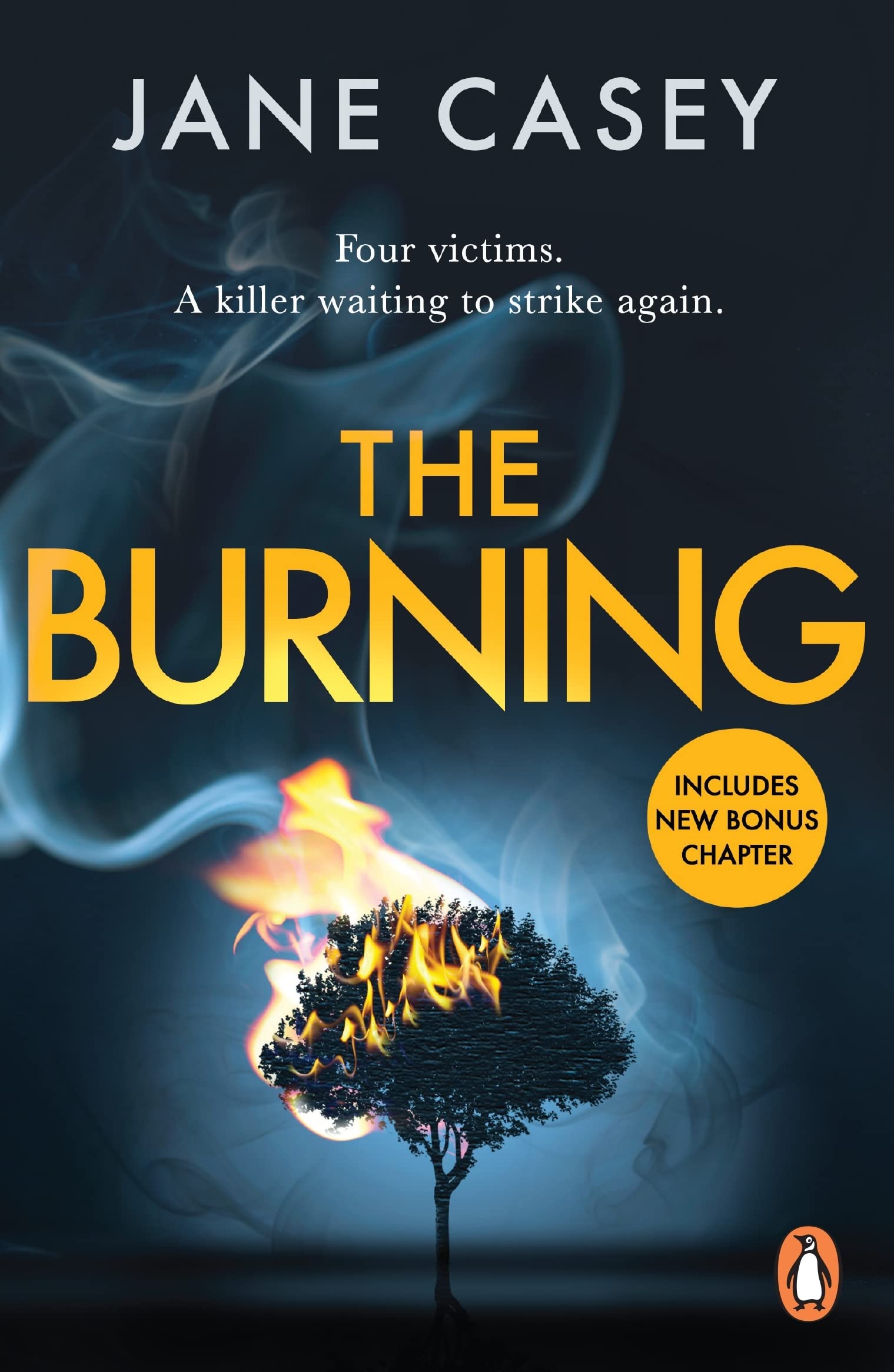 The Burning: The gripping detective crime thriller from the bestselling author: 1 (Maeve Kerrigan Series, 1)